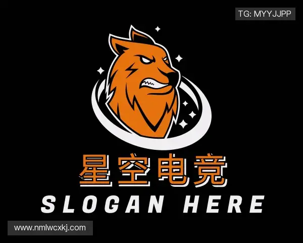 了解星空电竞